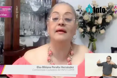 Captura de pantalla de la sesión virtual