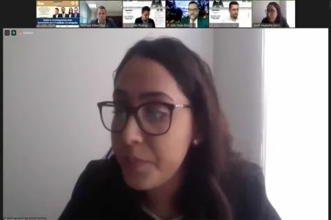 Captura de pantalla de la sesión virtual