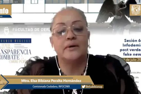 Captura de pantalla de la sesión virtual
