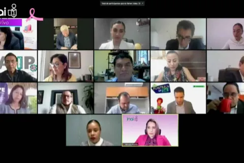 Captura de pantalla de la sesión virtual