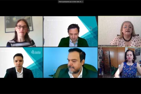 Captura de pantalla de la sesión virtual