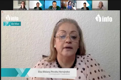 Captura de pantalla de la sesión virtual