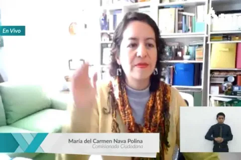 Captura de pantalla de la sesión virtual