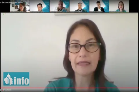 Captura de pantalla de la sesión virtual