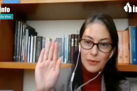 Captura de pantalla de la sesión virtual