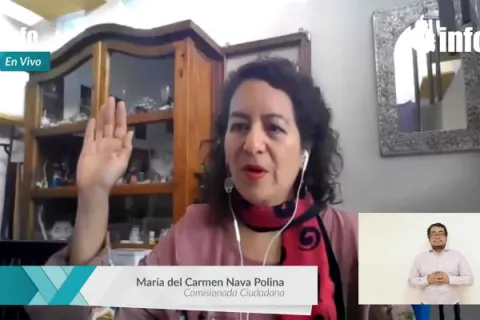 Captura de pantalla de la sesión virtual