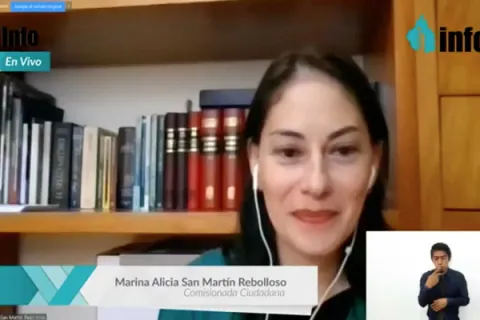Captura de pantalla de la sesión virtual