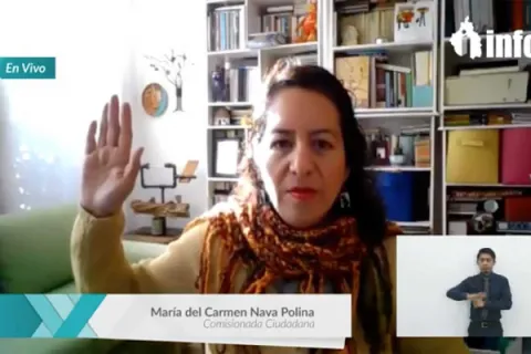 Captura de pantalla de la sesión virtual