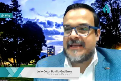 Captura de pantalla de la sesión virtual