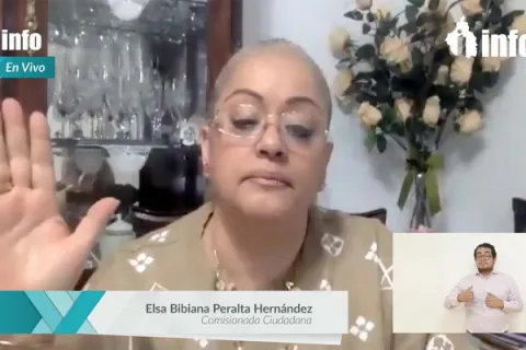 Captura de pantalla de la sesión virtual