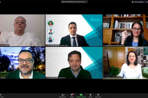 Captura de pantalla de la sesión virtual