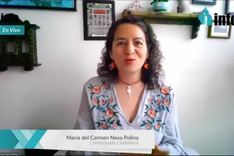 Captura de pantalla de la sesión virtual