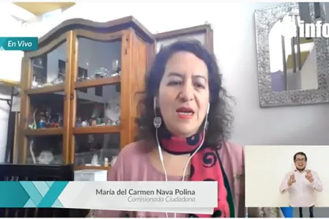 Captura de pantalla de la sesión virtual