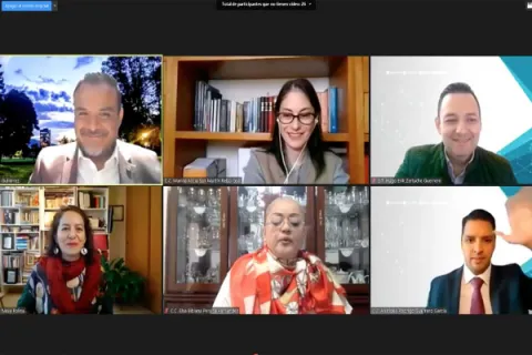 Captura de pantalla de la sesión virtual