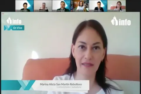 Captura de pantalla de la sesión virtual