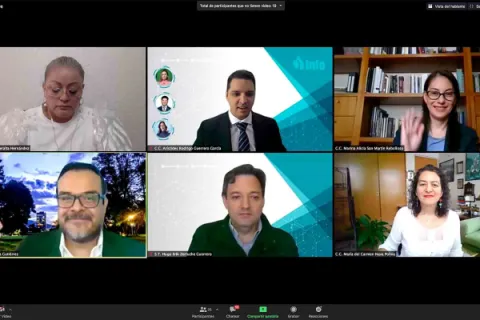 Captura de pantalla de la sesión virtual