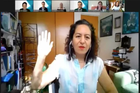 Captura de pantalla de la sesión virtual