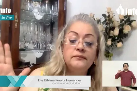 Captura de pantalla de la sesión virtual