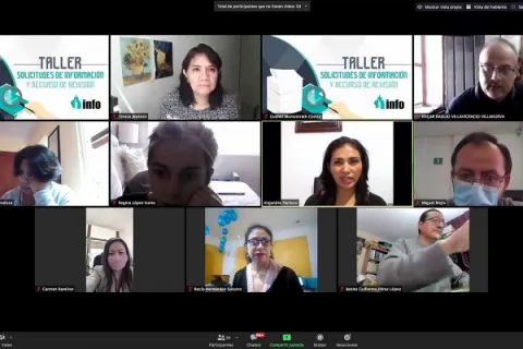 Captura de pantalla de la sesión virtual