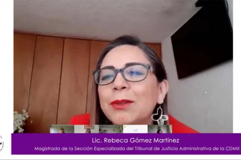Captura de pantalla de la sesión virtual