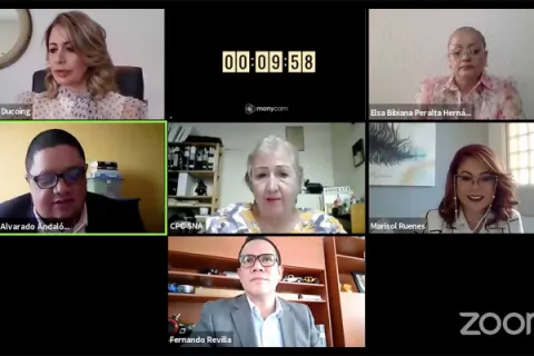 Captura de pantalla de la sesión virtual