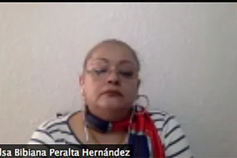 Captura de pantalla de la sesión virtual