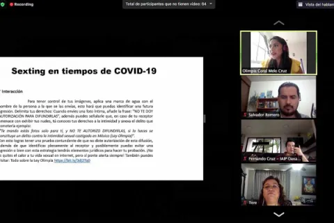 Captura de pantalla de la sesión virtual