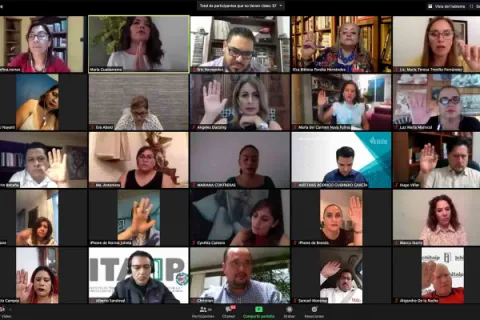 Captura de pantalla de la sesión virtual