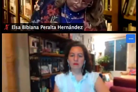 Captura de pantalla de la sesión virtual