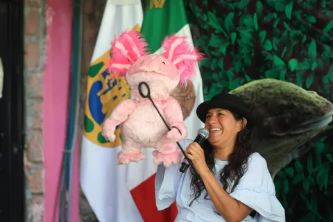 AJOLOTE