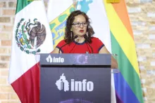 La comisionada María del Carmen Nava Polina participa en jornada de asesorías técnicas sobre transparencia y agenda de apertura