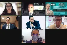 Captura de pantalla de la sesión virtual
