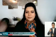 Captura de pantalla de la sesión virtual