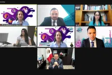 Captura de pantalla de la sesión virtual