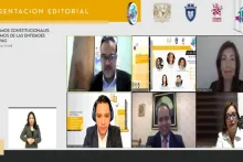 Captura de pantalla de la sesión virtual