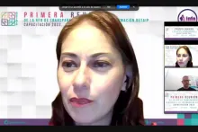 Captura de pantalla de la sesión virtual