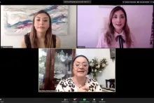 Captura de pantalla de la sesión virtual