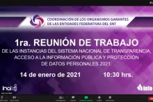 Captura de pantalla de la sesión virtual