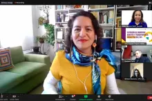 Captura de pantalla de la sesión virtual