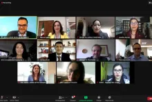 Captura de pantalla de la sesión virtual