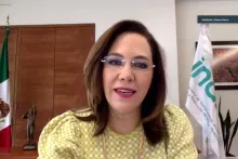 Captura de pantalla de la sesión virtual