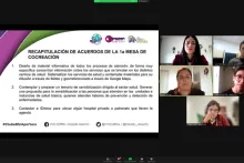 Captura de pantalla de la sesión virtual