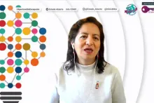 Captura de pantalla de la sesión virtual