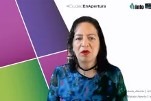 Captura de pantalla de la sesión virtual del Pleno