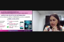 Captura de pantalla de la sesión virtual
