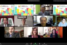 Captura de pantalla de la sesión virtual