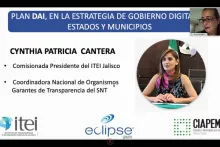 Captura de pantalla de la sesión virtual