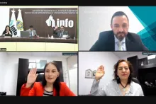 Captura de pantalla de la sesión virtual