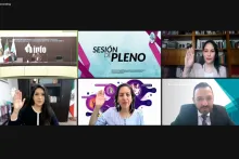 Captura de pantalla de la sesión virtual