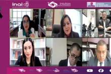 Captura de pantalla de la sesión virtual
